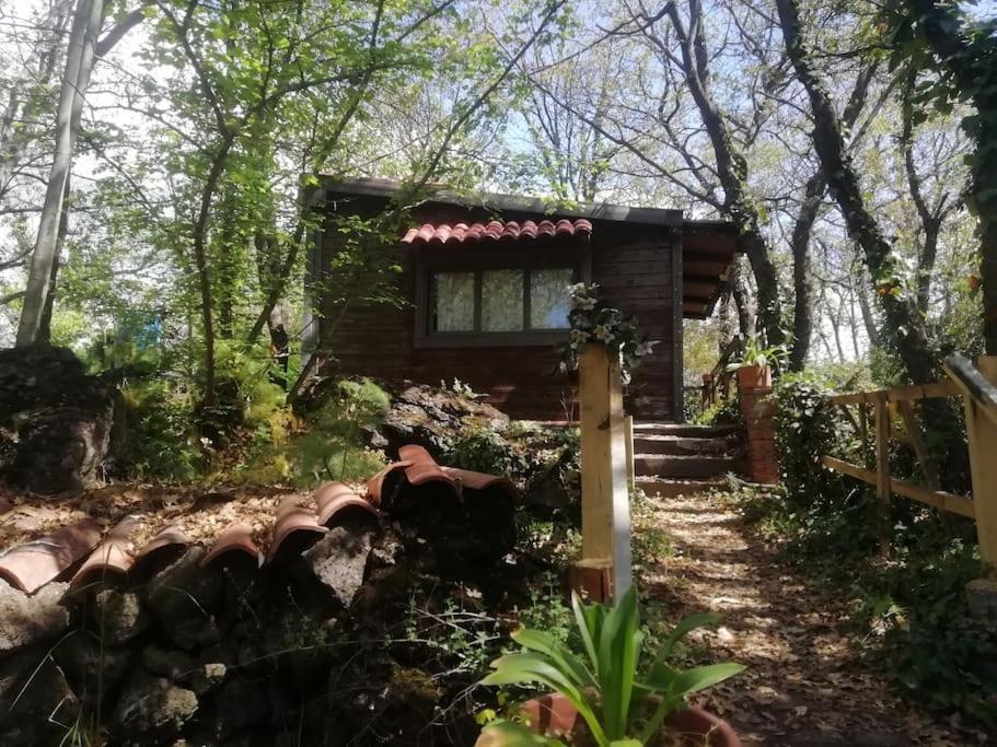 Villa Il Tempo Sospeso Castiglione De Sicilia Esterno foto